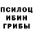 Псилоцибиновые грибы прущие грибы frederico pereira
