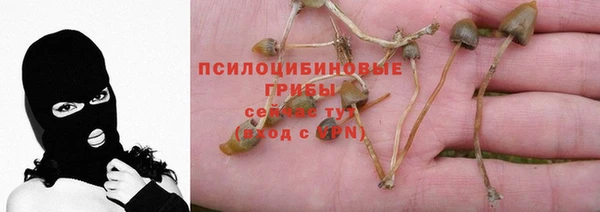 не бодяженный Аркадак