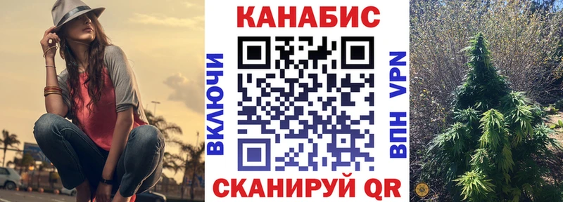 Бошки Шишки план Ивантеевка